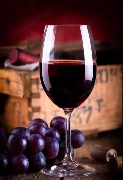 酒水飲料oem代加工展覽會 2019 plf