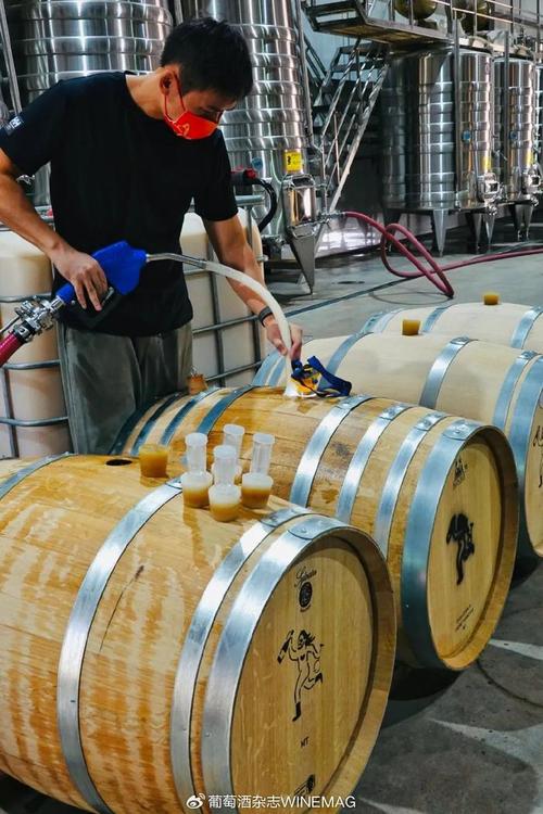 中國葡萄酒新勢力 釀松弛的酒，做最“野”的標