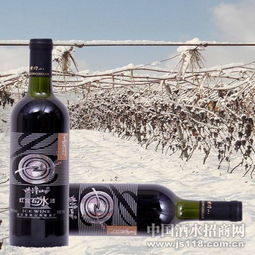 紫隆山紅寶石冰酒 品味時光凝萃，共創財富未來——通化紫隆山葡萄酒廠火熱招商